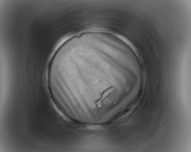X0000085241006200703301743