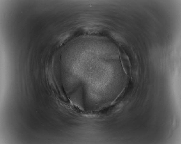 X0000085241010200703301743