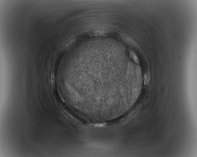 X0000085241011200703301743
