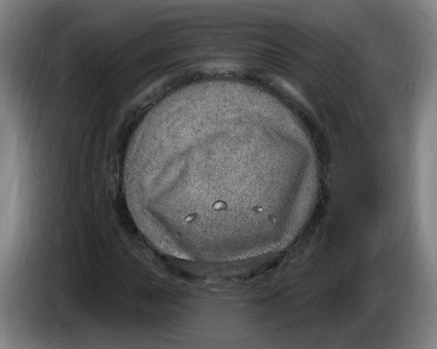 X0000085241015200703301743