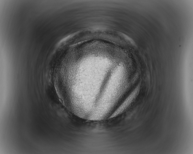 X0000085241016200703301743