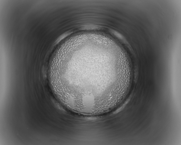 X0000085241017200703301743
