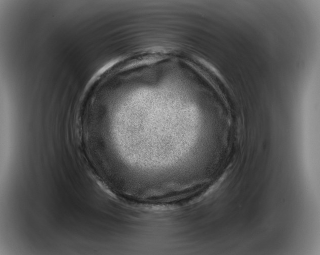 X0000085241018200703301743