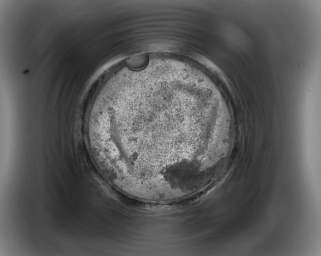 X0000085241019200703301743