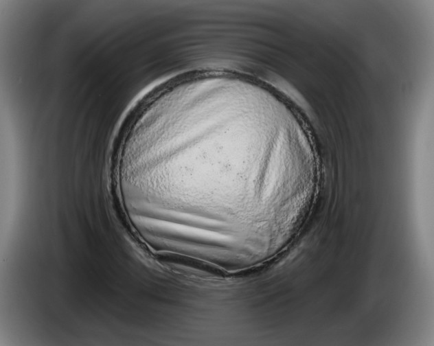 X0000085241020200703301743