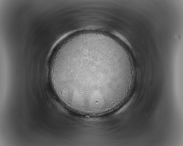 X0000085241021200703301743