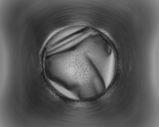 X0000085241022200703301743