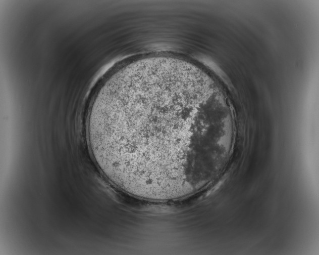 X0000085241023200703301743