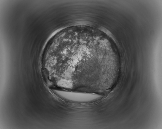 X0000085241024200703301743