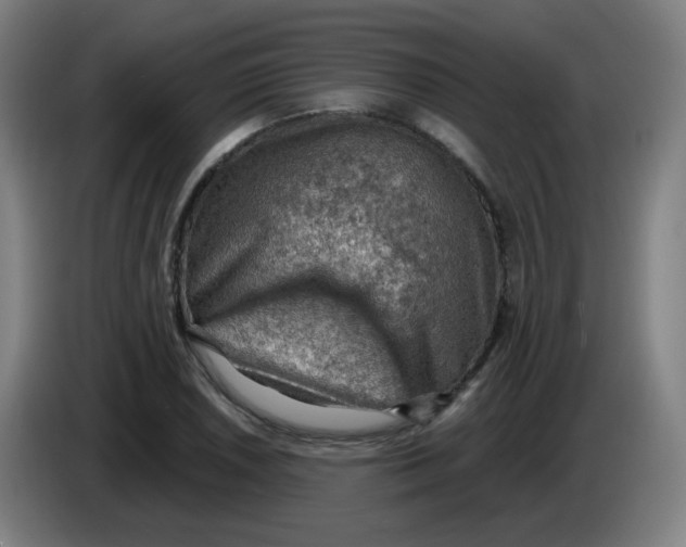 X0000085241026200703301743