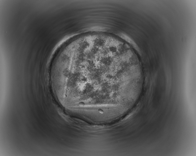X0000085241027200703301743