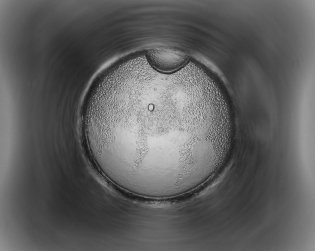 X0000085241029200703301743