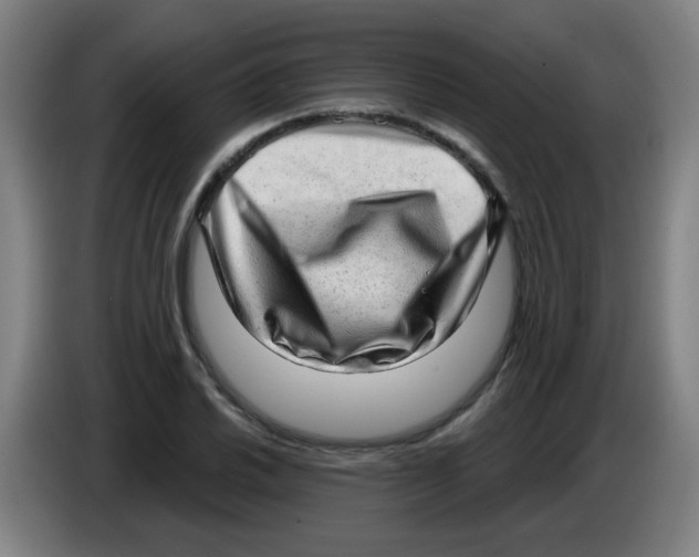 X0000085241030200703301743