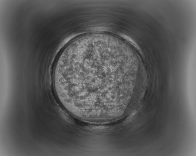X0000085241031200703301743