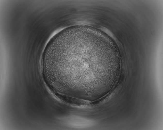 X0000085241032200703301743