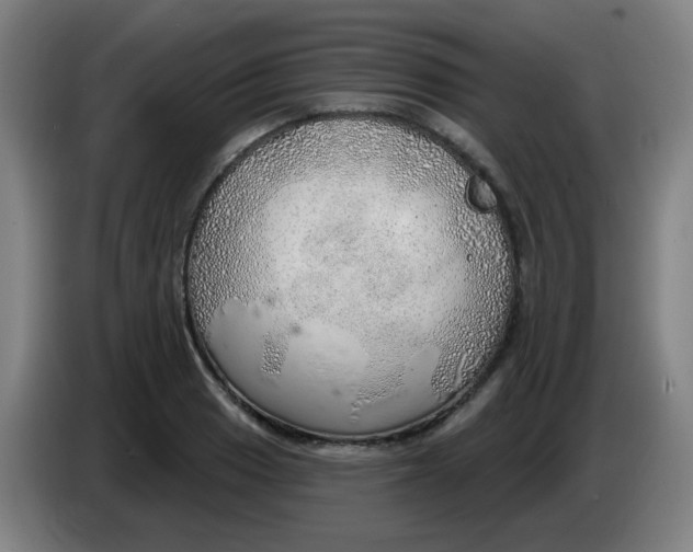 X0000085241033200703301743