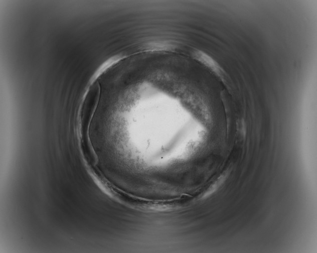 X0000085241034200703301743