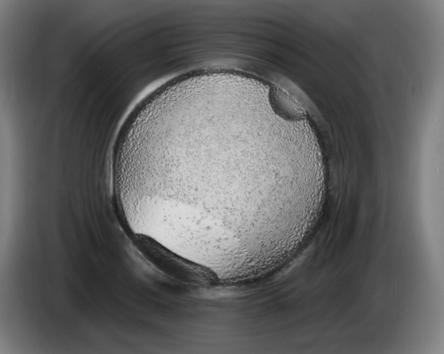 X0000085241036200703301743