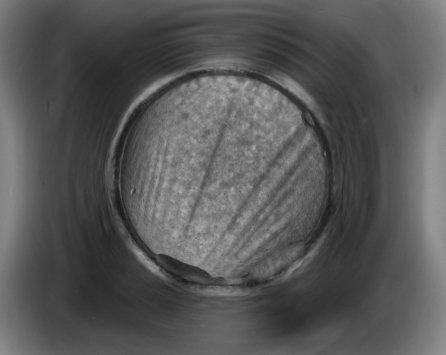 X0000085241037200703301743