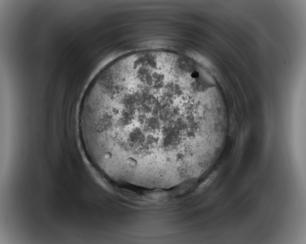 X0000085241039200703301743