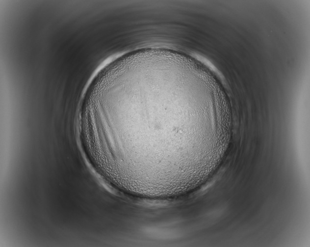 X0000085241040200703301743