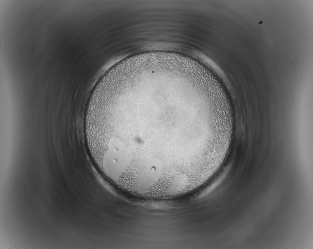 X0000085241041200703301743