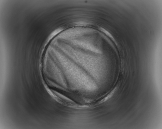 X0000085241042200703301743