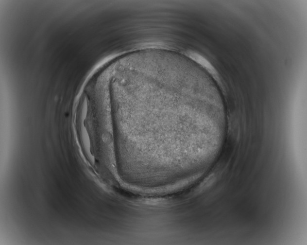 X0000085241043200703301743