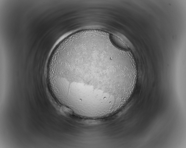 X0000085241044200703301743