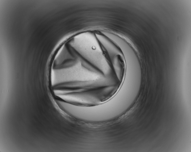 X0000085241046200703301743