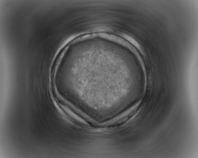 X0000085241047200703301743