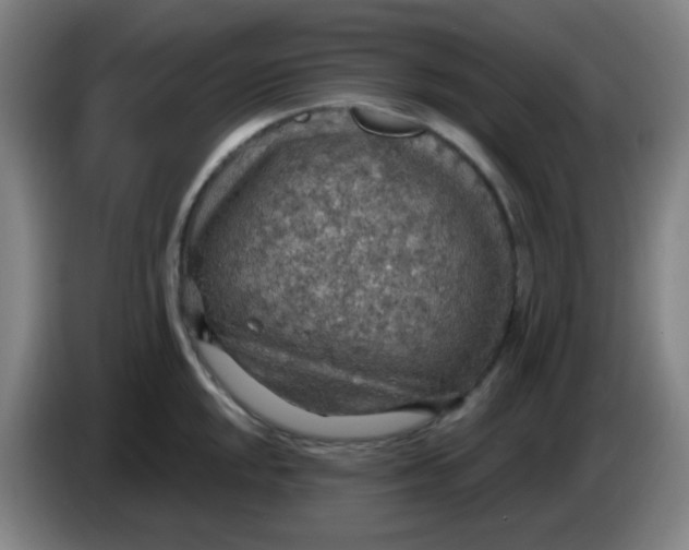 X0000085241048200703301743