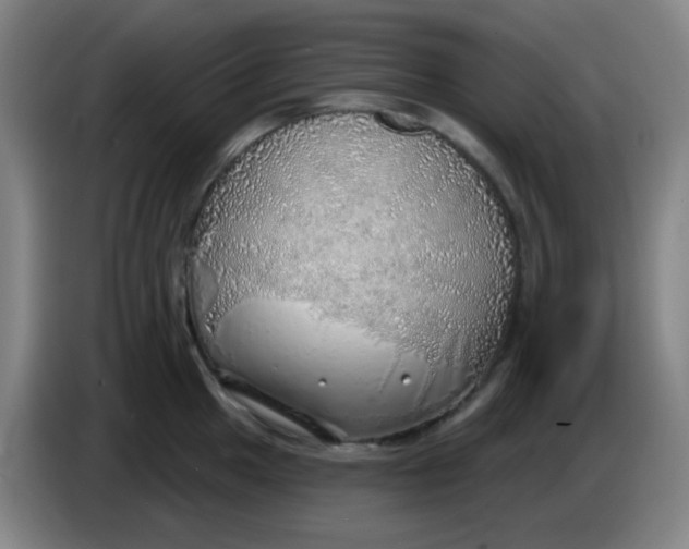 X0000085241049200703301743
