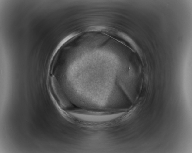 X0000085241050200703301743