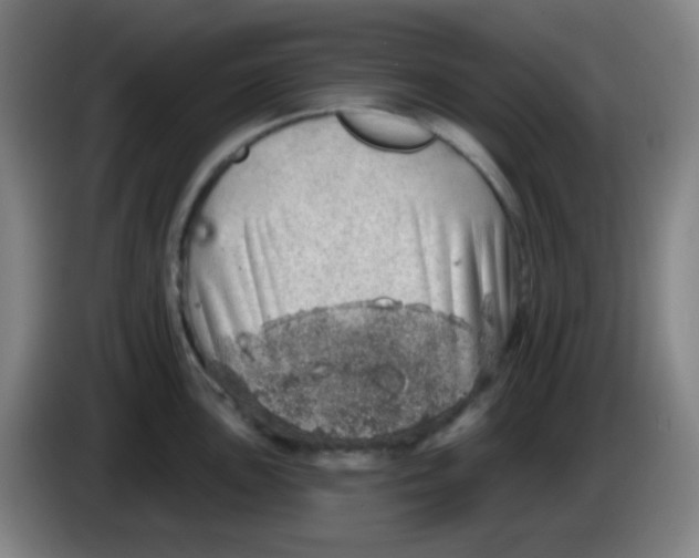 X0000085241051200703301743