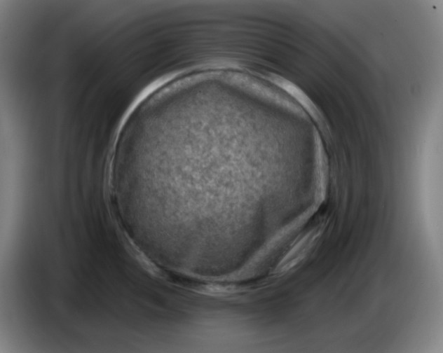 X0000085241052200703301743