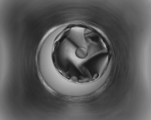 X0000085241054200703301743