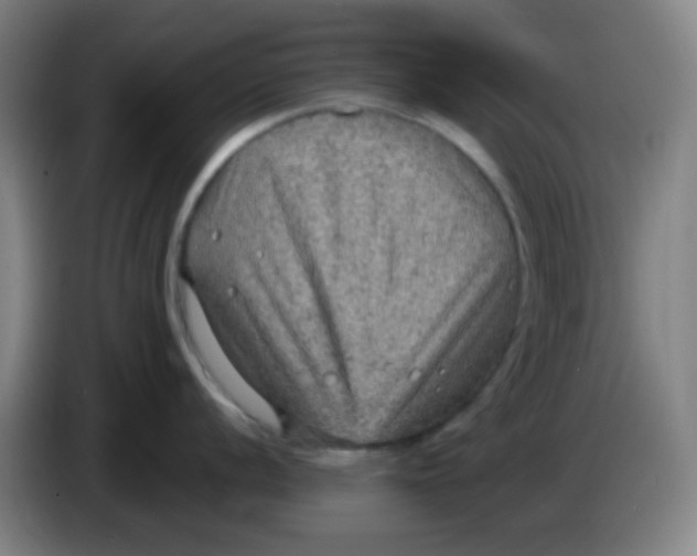X0000085241056200703301743