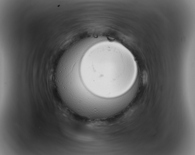 X0000085241059200703301743