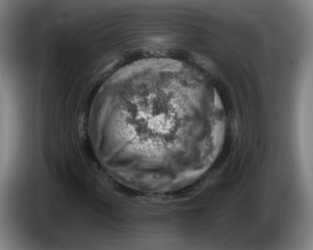 X0000085241060200703301743