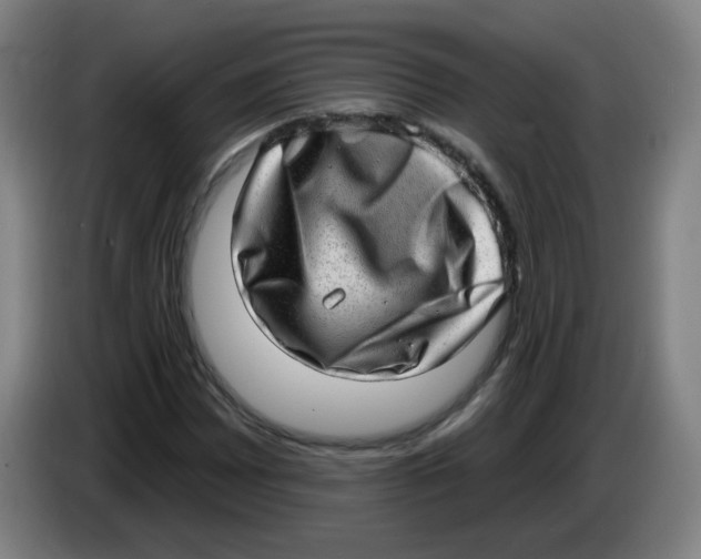 X0000085241065200703301743