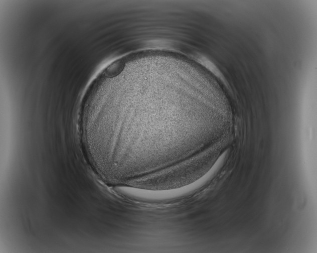 X0000085241068200703301743