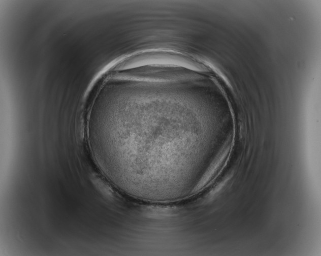 X0000085241069200703301743