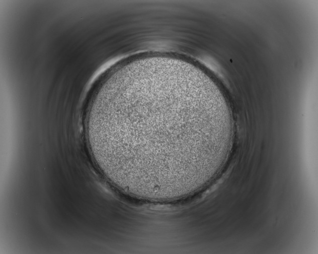 X0000085241070200703301742