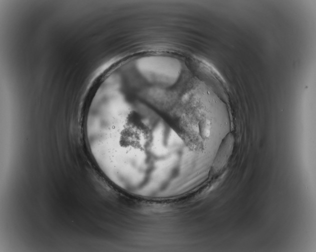 X0000085241071200703301742
