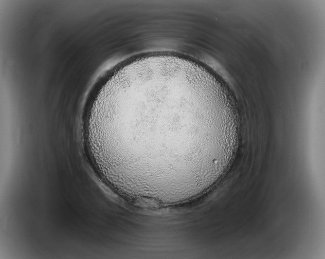 X0000085241072200703301742