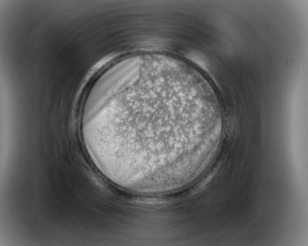 X0000085241074200703301742