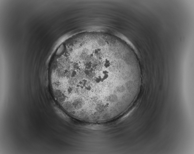 X0000085241075200703301742