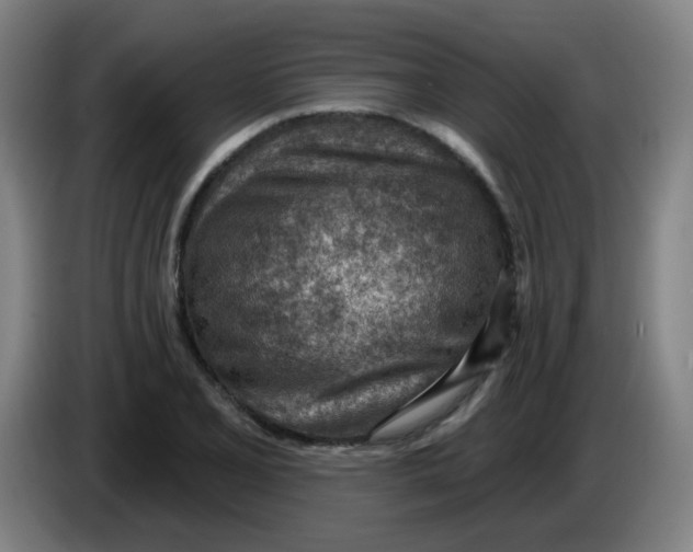 X0000085241077200703301742