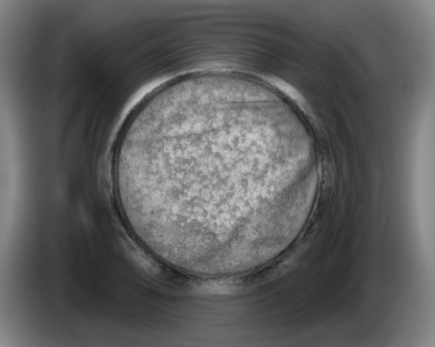 X0000085241078200703301742